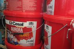 Cesal Aurora nemesvakolat.